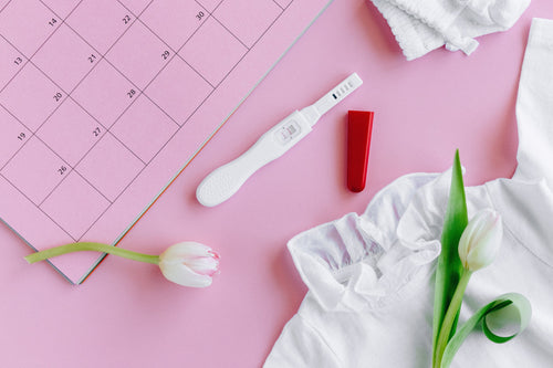 Ovulation: What is it, and How do I Know When I'm Ovulating?